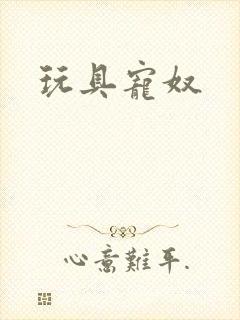 玩具宠奴