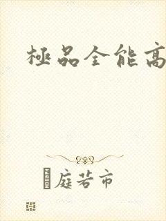 极品全能高手封面