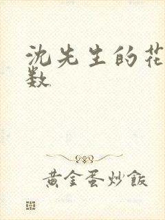 沈先生的花式调数
