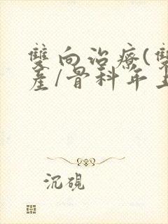 双向治疗(双/产/骨科年上)