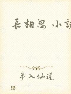 长相思 小说封面