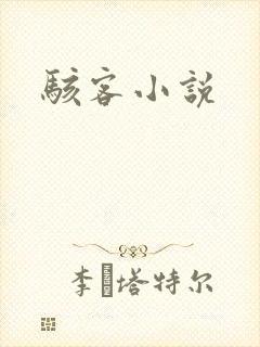 骇客小说