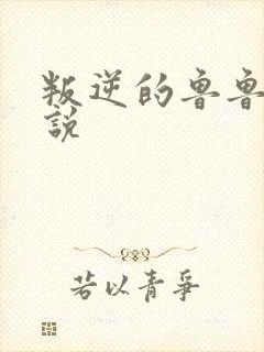 叛逆的鲁鲁修小说