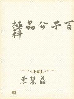 极品公子百度百科