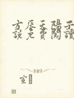 方辰天阳子的小说免费阅读