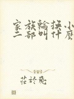 家族轮换小说第二部叫什么名字
