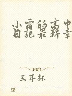 小霜的高中成长日记最新章节封面