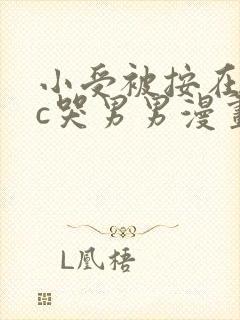 小受被按在墙上c哭男男漫画封面