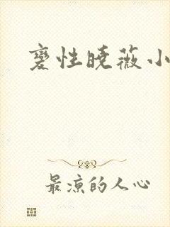 变性晓薇小说封面