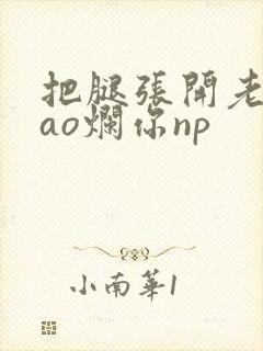 把腿张开老子cao烂你np封面