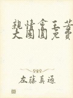 亲情会王芳高敏大团圆免费阅读