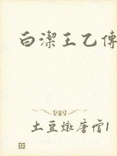白洁王乙传说封面