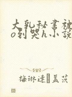 大乳秘书被cao到哭h小说封面