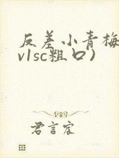 反差小青梅(1v1sc粗口)