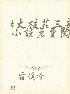 t大校花三部曲小说免费阅读全文