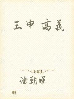 王申 高义
