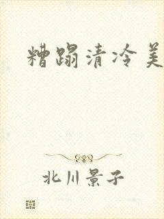 糟蹋清冷美人封面