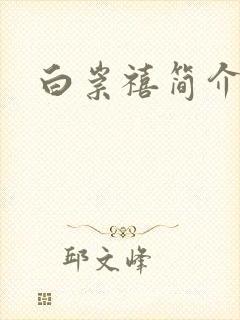 白崇禧简介封面