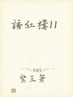 诱红楼11