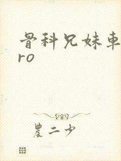 骨科兄妹车多pro