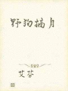 野狗摘月封面