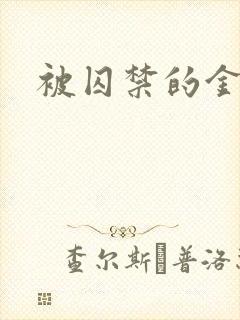 被囚禁的金丝雀