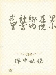 我被绑在男公厕里当肉便小说