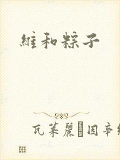 维和粽子