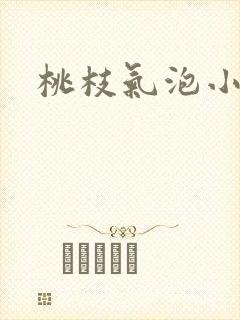 桃枝气泡小说封面