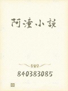 阿潼小说封面