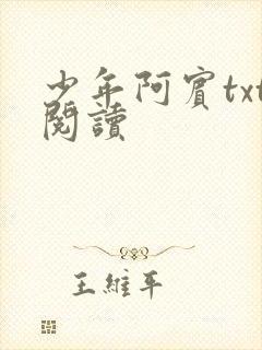 少年阿宾txt阅读
