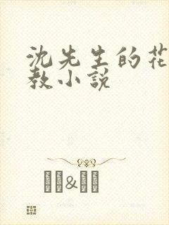 沈先生的花式管教小说