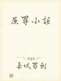 原罪小说封面