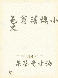 色翁荡熄小说全文