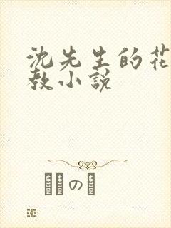 沈先生的花式调教小说