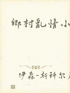 乡村乱情小说