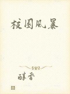 校园风暴