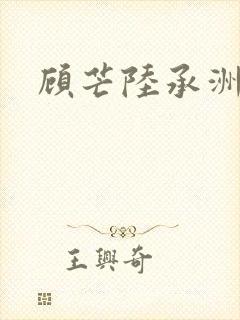 顾芒陆承洲