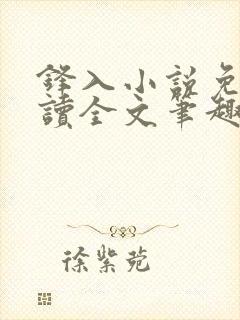 锋入小说免费阅读全文笔趣阁封面