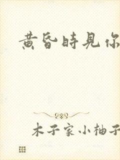 黄昏时见你