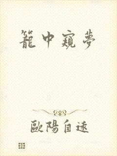 笼中窥梦