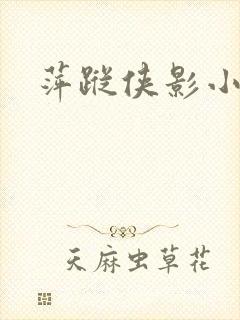 萍踪侠影小说