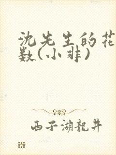 沈先生的花式调数(小非)