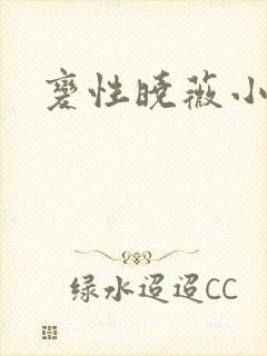 变性晓薇小说