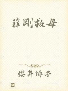 薛刚救母封面