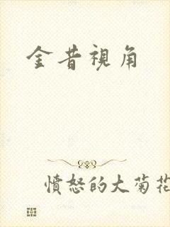 金昔视角