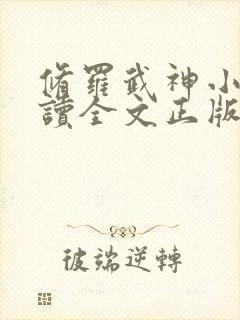 修罗武神小说阅读全文正版封面