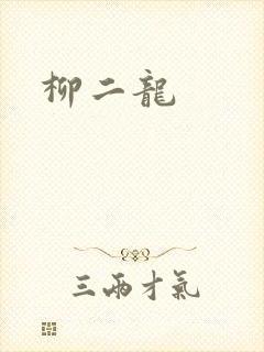 柳二龙封面