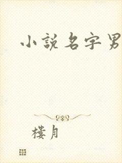 小说名字男生