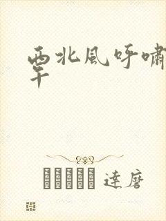 西北风呼啸的中午封面